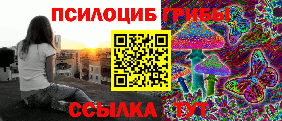 Псилоцибиновые грибы Psilocybe  Псилоцибиновые грибы мухоморы  Вход с VPN  Ленинск-Кузнецкий 
