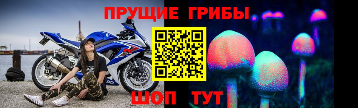Псилоцибиновые грибы Cubensis Ленинск-Кузнецкий